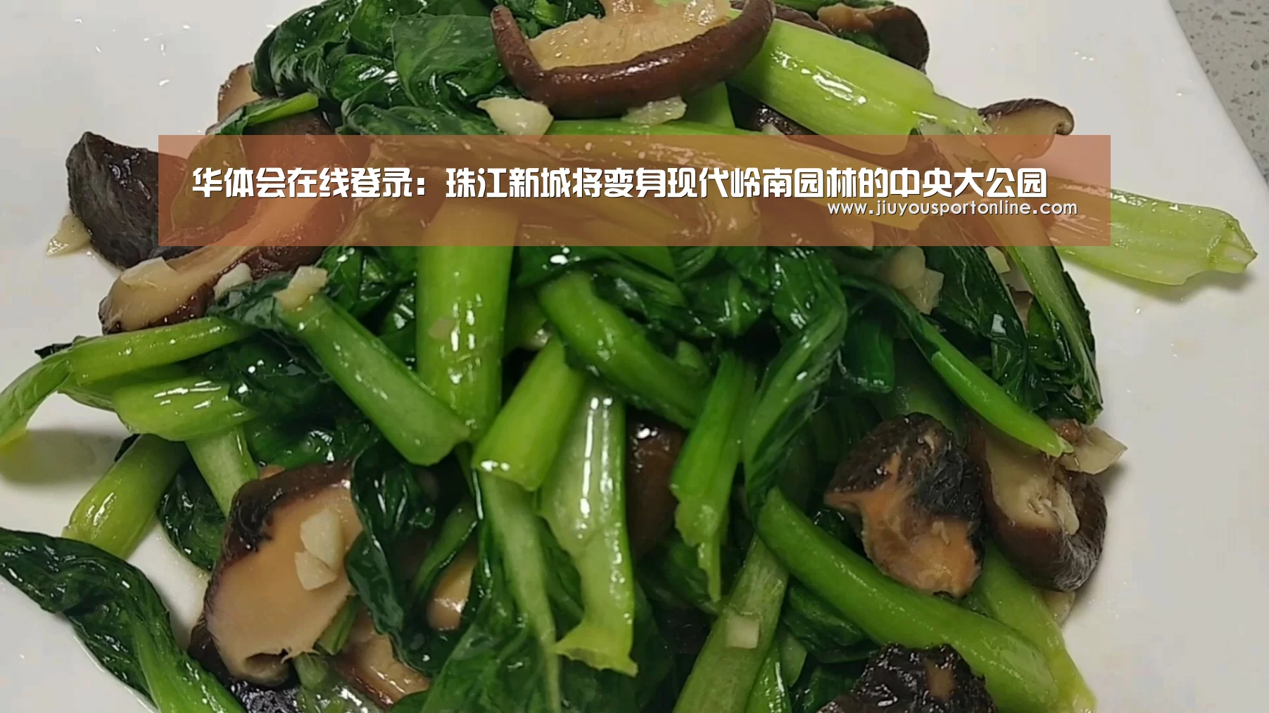 华体会在线登录:珠江新城将变身现代岭南园林的中央大公园(图2) 华体会在线登录:珠江新城将变身现代岭南园林的中央大公园(图2)